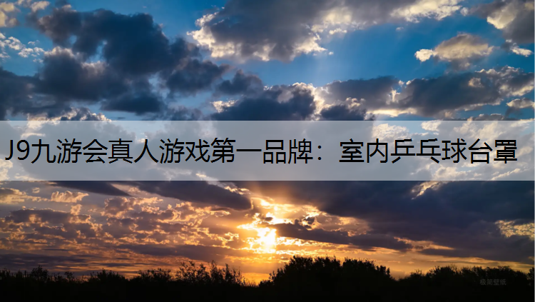 J9九游会真人游戏第一品牌：室内乒乓球台罩