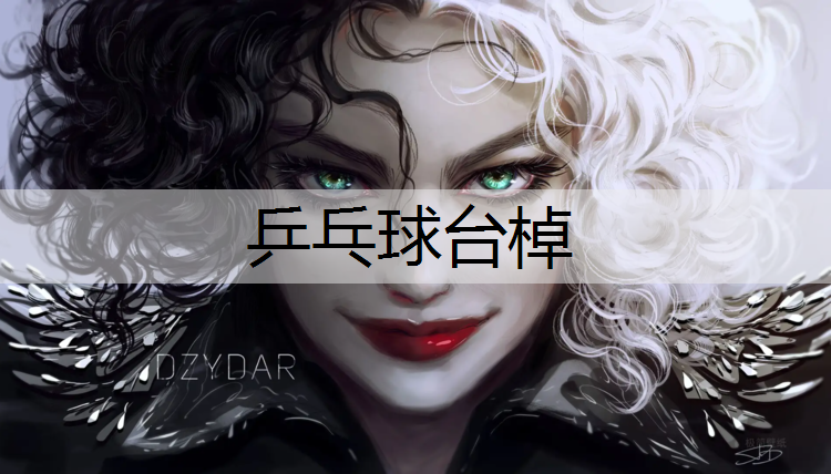 乒乓球台棹
