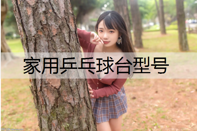 家用乒乓球台型号