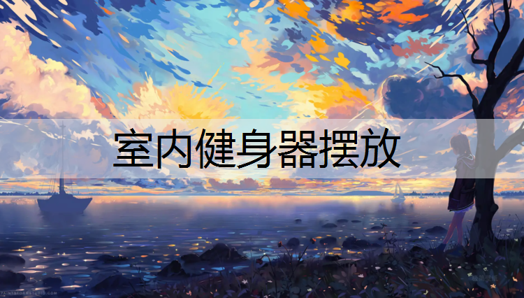 室内健身器摆放