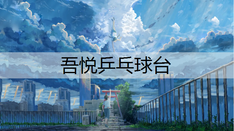吾悦乒乓球台