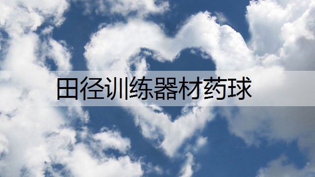 田径训练器材药球 田径训练器材药球