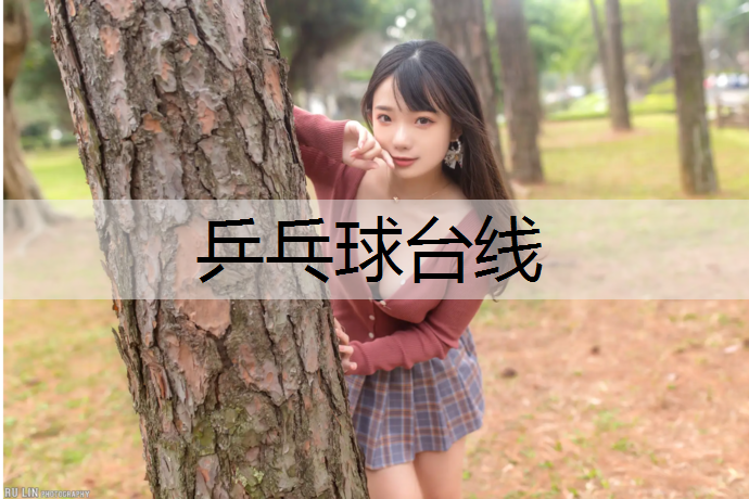 乒乓球台线