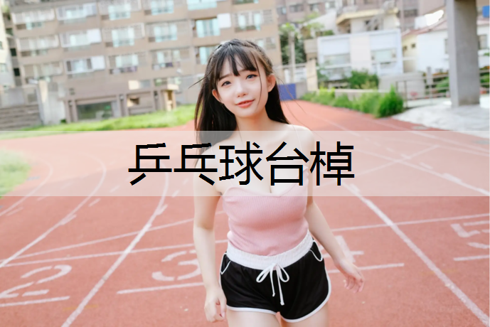 乒乓球台棹