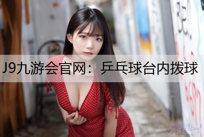 乒乓球台内拨球