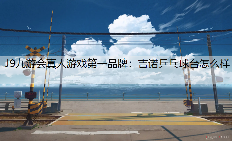 吉诺乒乓球台怎么样