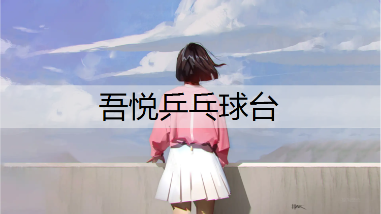 吾悦乒乓球台