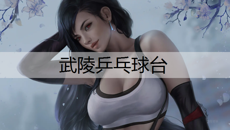 武陵乒乓球台