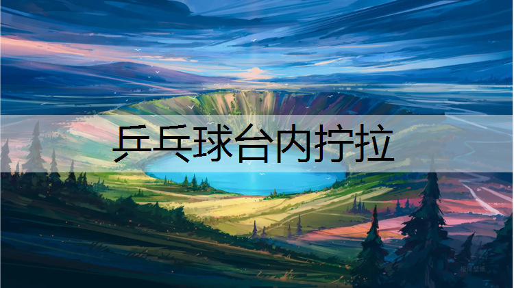 乒乓球台内拧拉 乒乓球台内拧拉