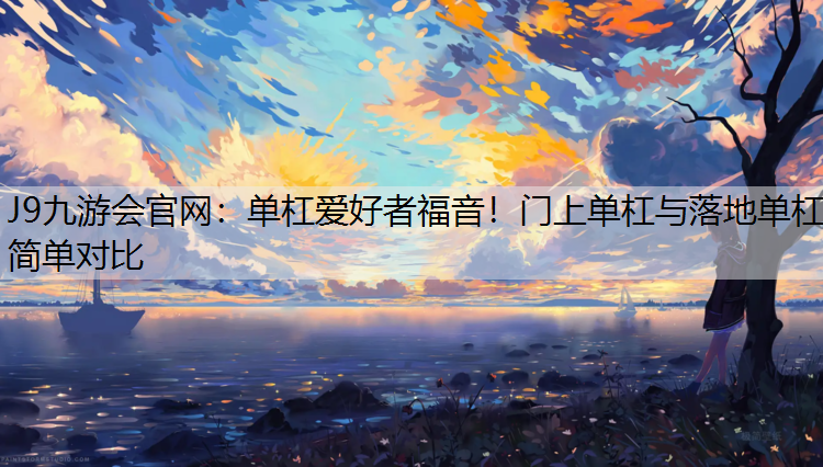 单杠爱好者福音！门上单杠与落地单杠简单对比